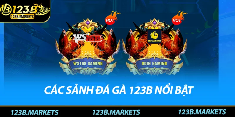 Các sảnh đá gà 123B nổi bật